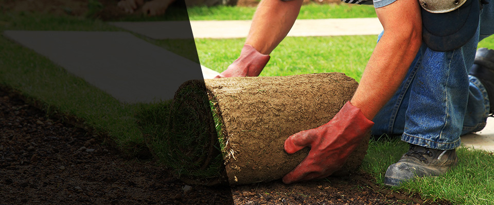 San Antonio Landscapers